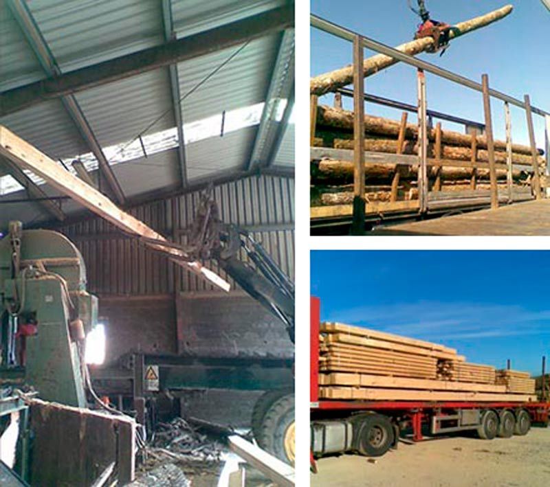 Madefon procesos de madera